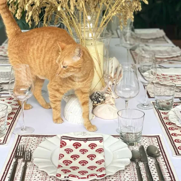 Sale Pomegranate Inc India Hicks Carnations Napkins